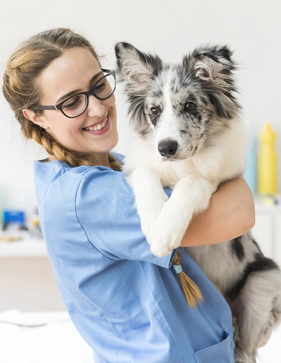 Servicios Veterinarios en Pérez Zeledón - Zona Sur