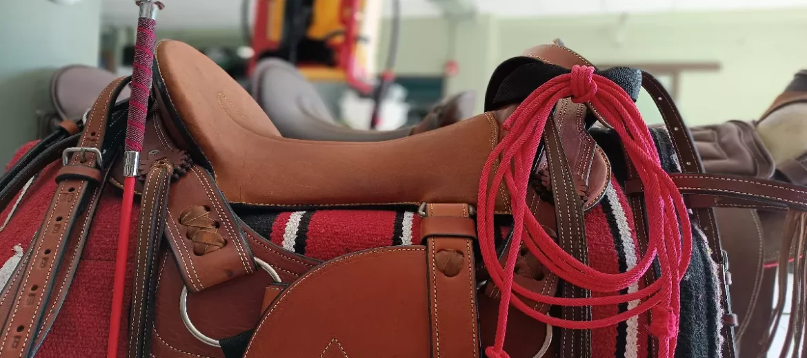 Accesorios para equinos - Accesorios para Caballos